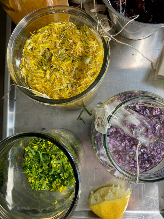 Helgkurs NATURLIG FÄRGNING 23-24 maj !