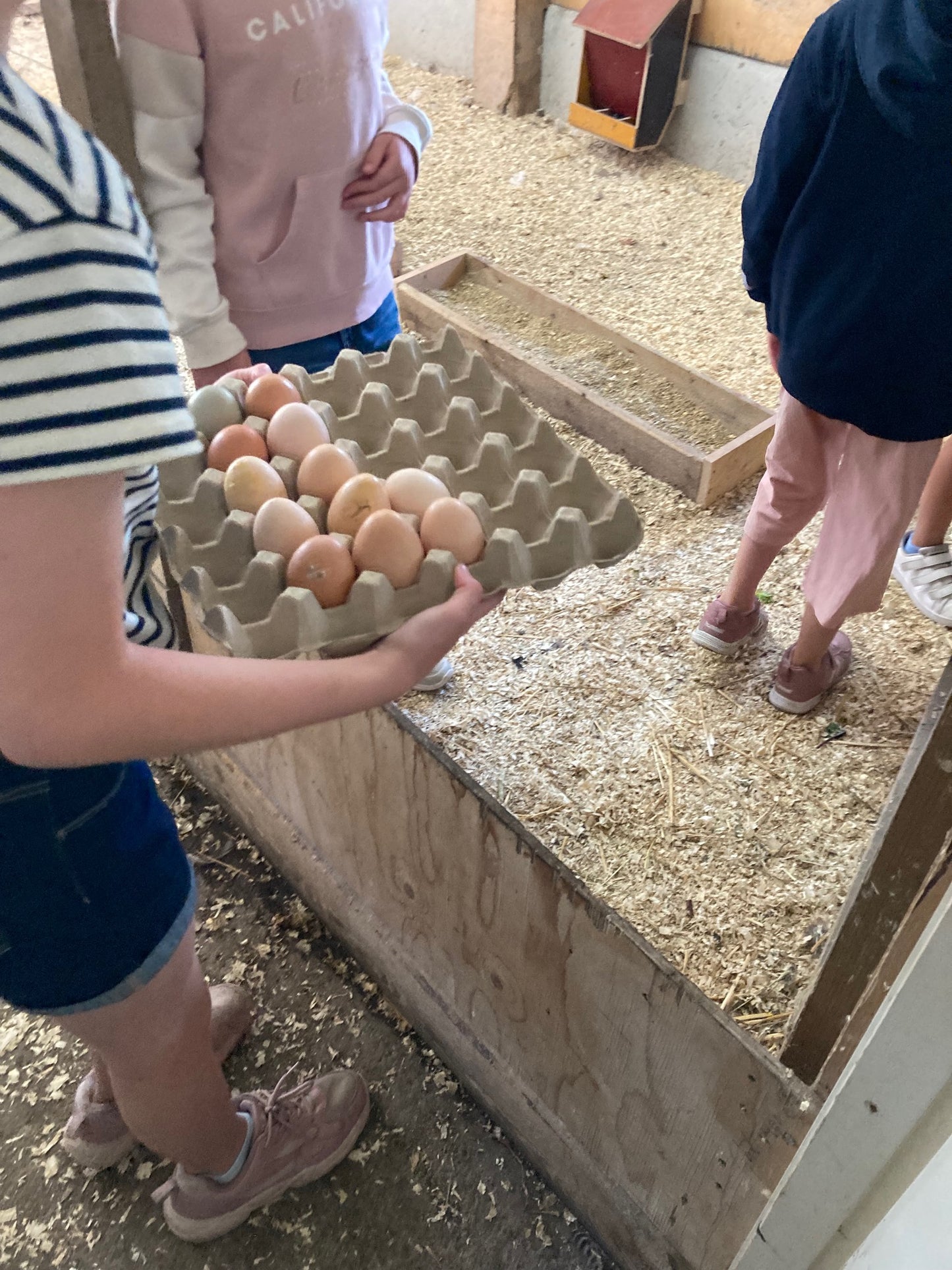 Vårterminen 2026 barnverksamhet - Smådjursskötsel och hantverk ONSDAGAR