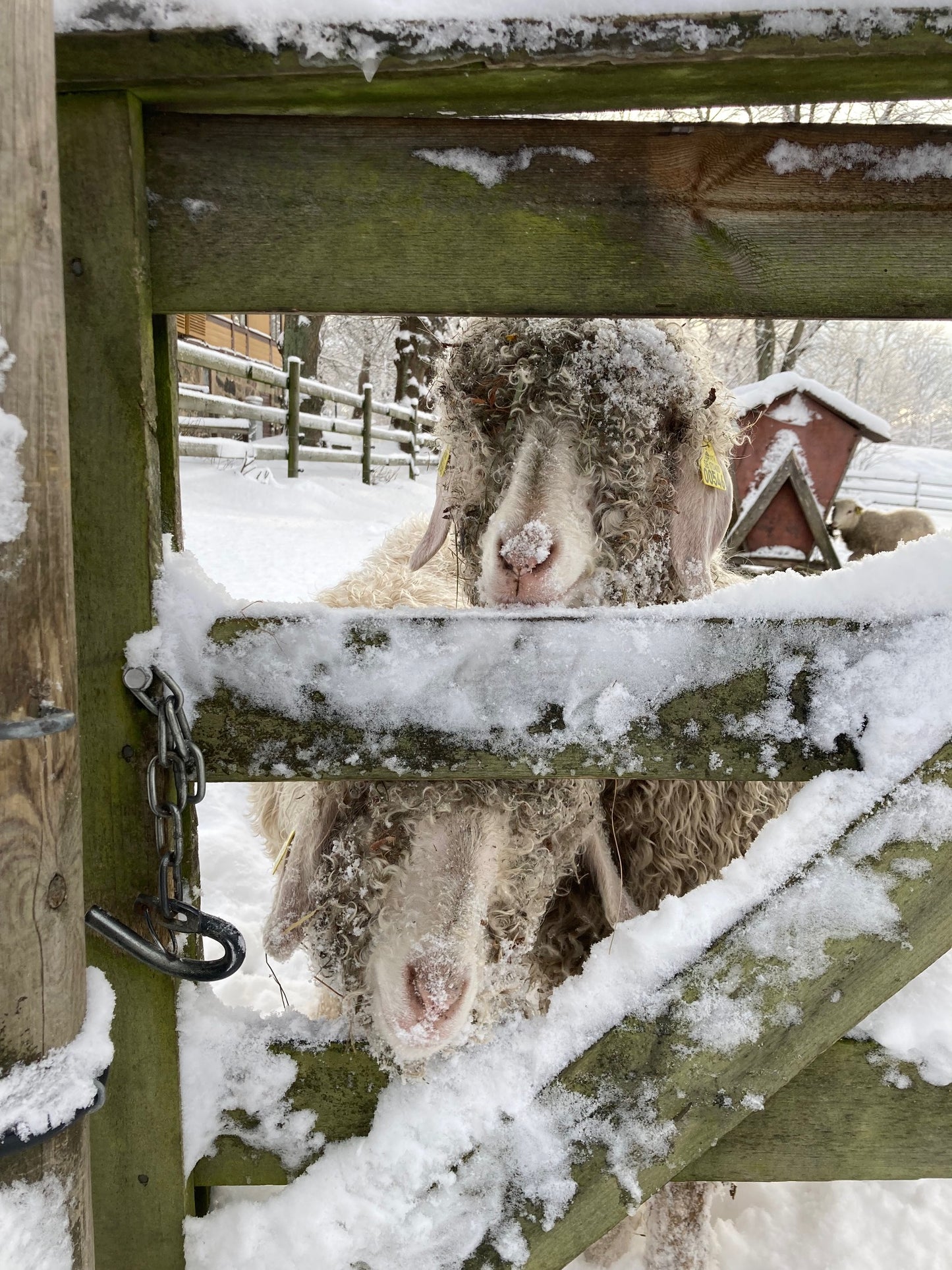 Vävning - kvällskurs - 8 x tisdagar kl 18-20.30 start 10/2