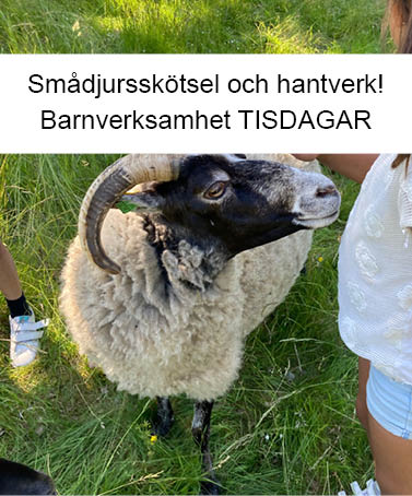 Barnverksamhet: Smådjursskötsel och hantverk TISDAGAR