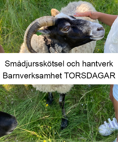 Höstterminen 2026 barnverksamhet - Smådjursskötsel och hantverk TORSDAGAR